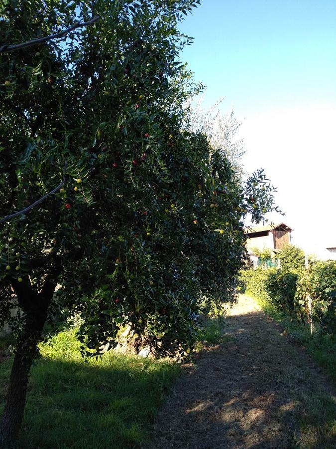 פולפנצה דל גארדה "Country House Il Brolo" מראה חיצוני תמונה